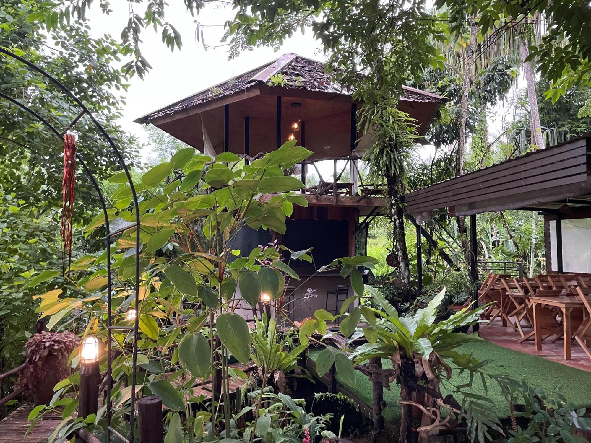 Khaosok Farmstay Khao Sok National Park Zewnętrze zdjęcie