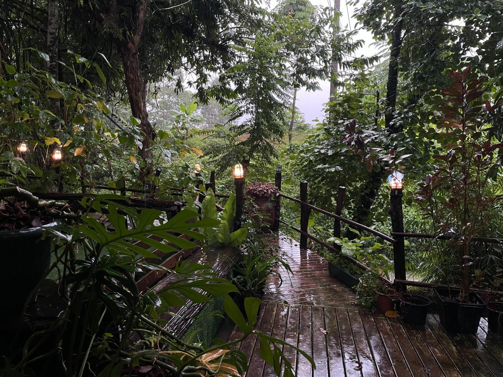 Khaosok Farmstay Khao Sok National Park Zewnętrze zdjęcie